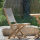 Jan Kurtz - Jump Klappstuhl, FSC Teak