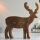 Jan Kurtz - Deer, Unikat